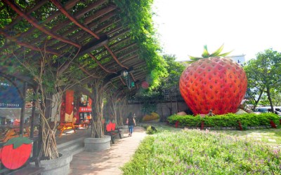 「大湖酒莊(草莓文化館)」Blog遊記的精采圖片