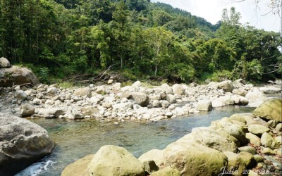 南庄景點「蓬萊溪護魚步道」Blog遊記的精采圖片