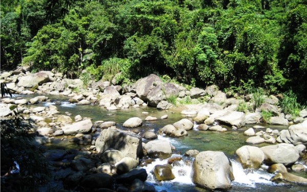 「蓬萊溪護魚步道」Blog遊記的精采圖片