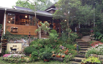 「橄欖樹咖啡民宿」Blog遊記的精采圖片